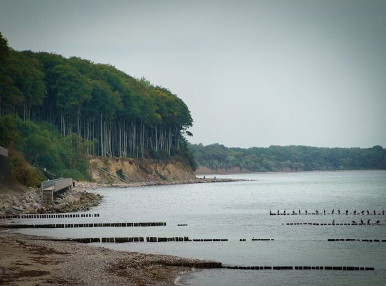 Why Disohozid Are Bad