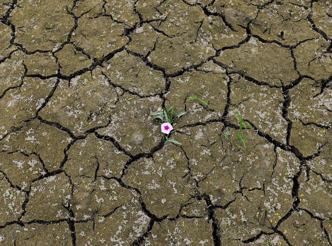 Workplace Guide Ewmagwork