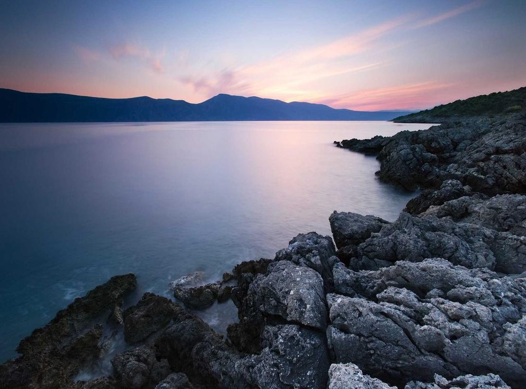 Farmwood vs. Other Halal Brands: A Head-to-Head Comparison