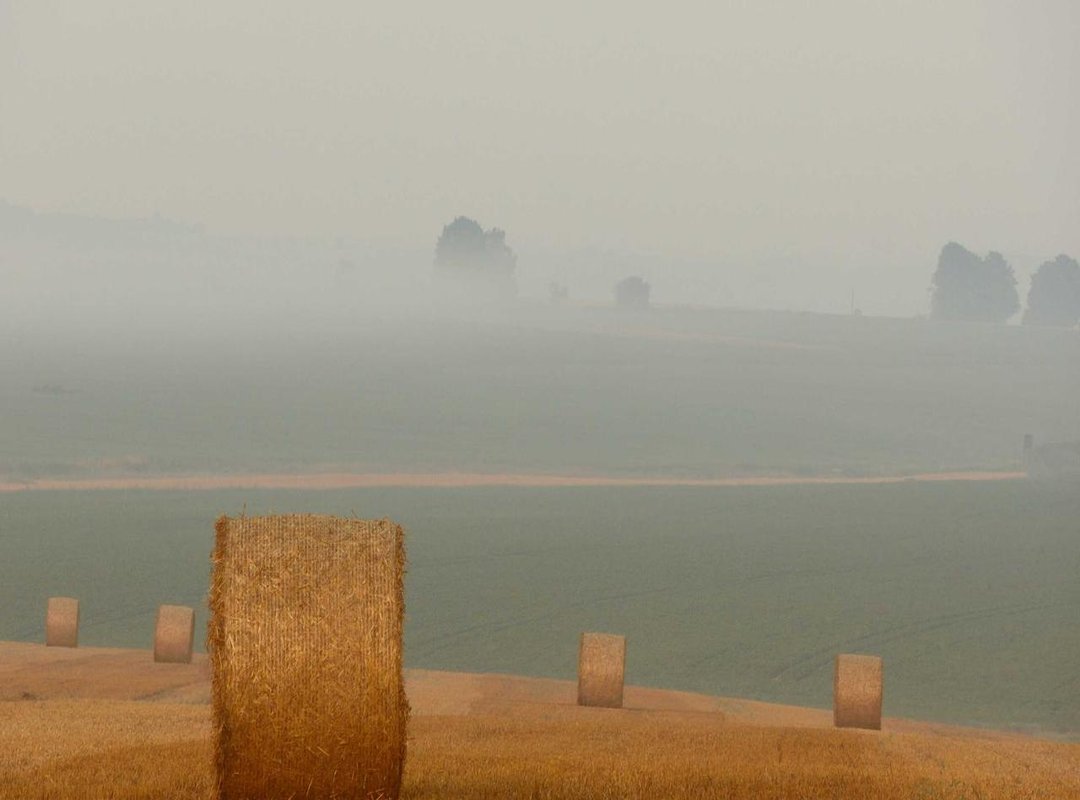 Your Next Step: Is Iganoby the Right Fit for You?