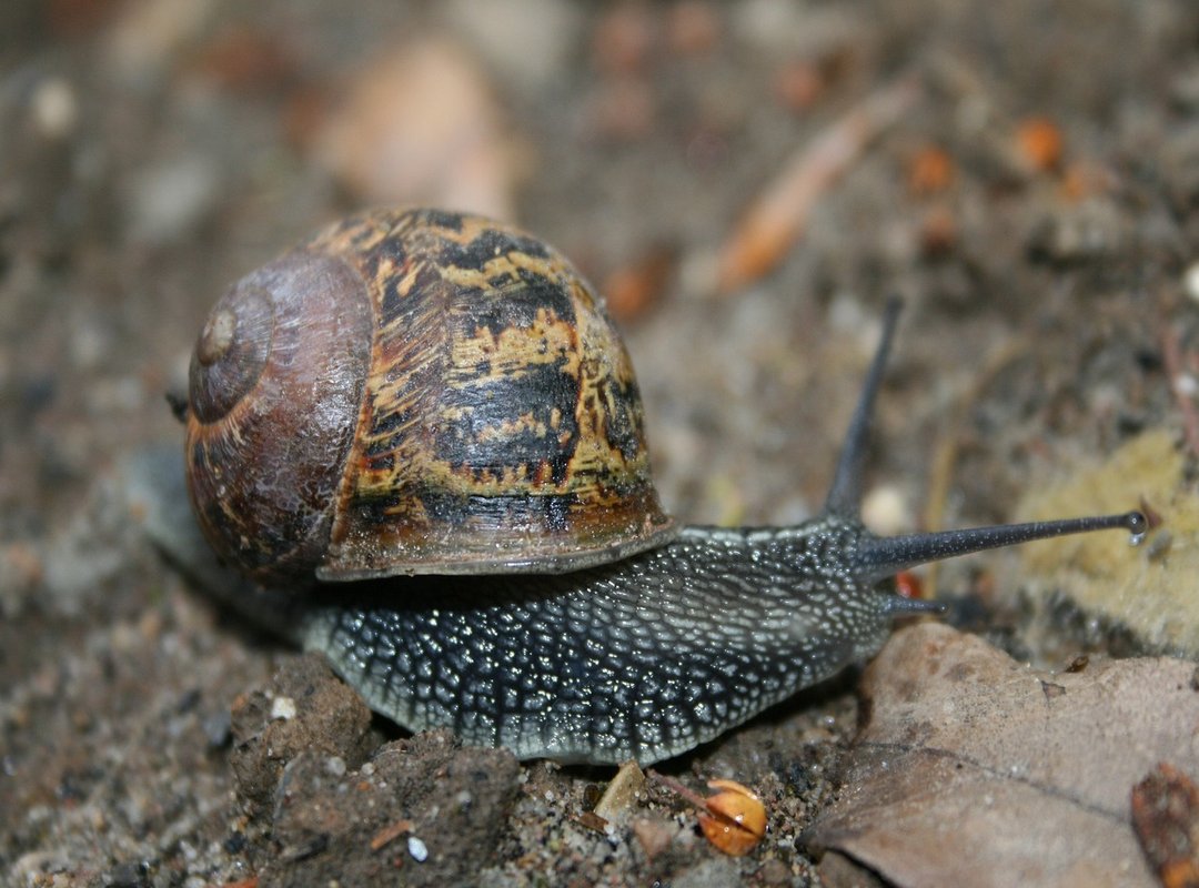 How to Access and Get Started with JLL TechZone