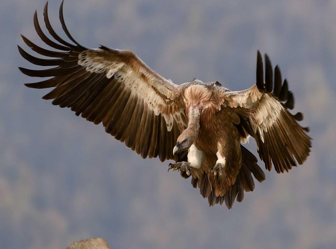 Accuracy vs. Anecdote: What Does Science Say?