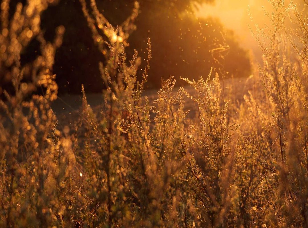 Beyond the Pitch: Today's Top Matches in Other Sports