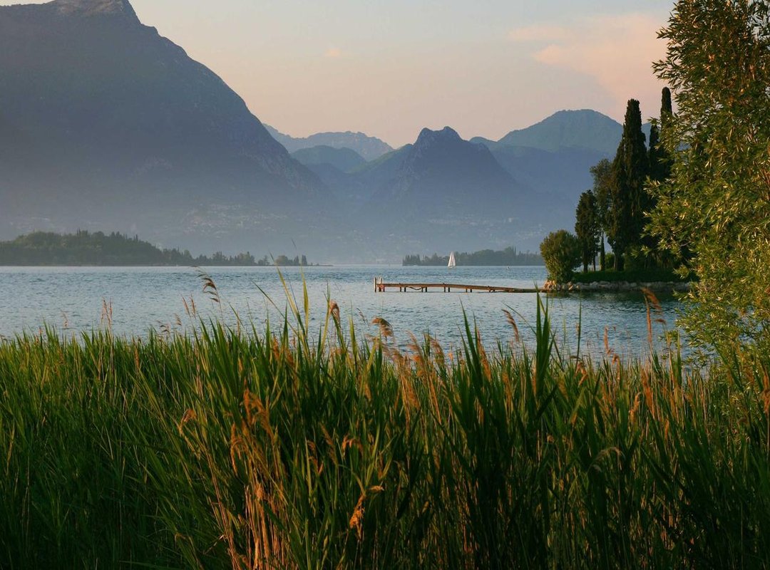 The Creators and Their Audience: A Look at the Gravure Ecosystem