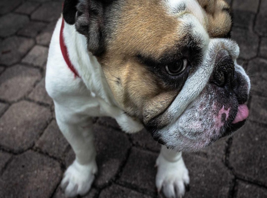 The Couple in the Public Eye: Appearances and Social Media