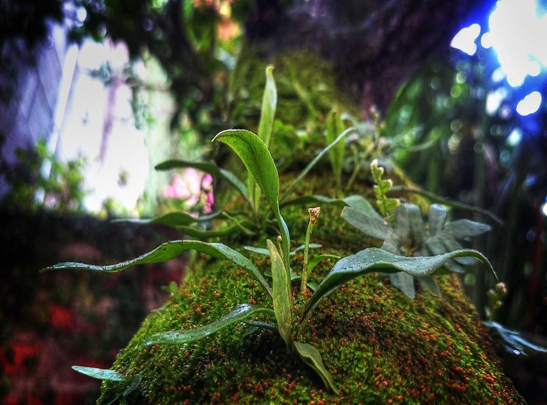 'Yepo' vs. 'Areumdawo': Choosing the Right Word for 'Beautiful'